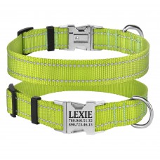 Нашийник для Собак BronzeDog Active Нейлоновий зі Світловідбиттям та Металевою Пряжкою Салатовий  XL(38/1305/Т) 
