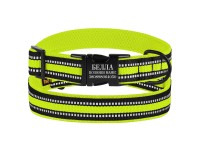 Нашийник для Собак BronzeDog Mesh з Металевою Пряжкою Лимонний  L(48/1605/Т) 