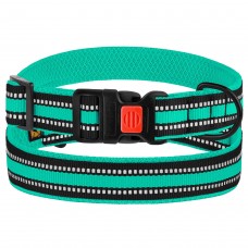 Нашийник для Собак BronzeDog Mesh з Пластиковою Пряжкою Ментоловий XL(53/1608/Т) Нашийник для Собак BronzeDog Mesh з Пластиковою Пряжкою Ментоловий XL(53/1608/Т)