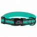 Нашийник для Собак BronzeDog Mesh з Металевою Пряжкою Ментоловий  L(48/1608/Т) 