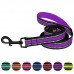 Повідець для Собак BronzeDog Mesh 2 в 1 Фіолетовий  L(62/1607/Т) 