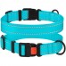 Нашийник для Собак BronzeDog Active Нейлоновий зі Світловідбиттям та Пластиковою Пряжкою Блакитний  M(51/1222/Т) 