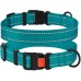 Нашийник для Собак BronzeDog Active Нейлоновий зі Світловідбиттям та Пластиковою Пряжкою Бірюзовий  L(52/1225/Т) 