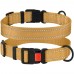 Нашийник для Собак BronzeDog Active Нейлоновий зі Світловідбиттям та Пластиковою Пряжкою Золотистий  M(51/1226/Т) 