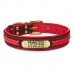 Нашийник для Собак Шкіряний BronzeDog Premium з Литою Латунною Фурнітурою та Адресником Коричнево-Червоний  M(61063/Т) 