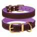 Нашийник для Собак Шкіряний BronzeDog Premium з Литою Латунною Фурнітурою та Адресником Коричнево-Фіолетовий  XL(62089/Т) 