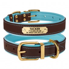 Нашийник для Собак Шкіряний BronzeDog Premium з Литою Латунною Фурнітурою та Адресником Коричнево-Блакитний  S(62052/Т) 
