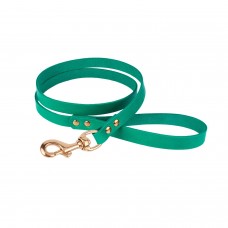 Повідець для Собак Шкіряний BronzeDog Premium з Літою Латунною Фурнітурою Бірюзовий S(471113/Т) Повідець для Собак Шкіряний BronzeDog Premium з Літою Латунною Фурнітурою Бірюзовий S(471113/Т)
