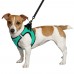 Шлея для собак Barksi Sport Vest неопрен 3D сітка бірюзова  2XS(76213/Т) 