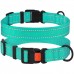 Нашийник для Собак BronzeDog Active Нейлоновий зі Світловідбиттям та Пластиковою Пряжкою Ментоловий  M(51/1308/Т) 