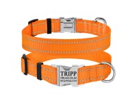 Нашийник для Собак BronzeDog Active Нейлоновий зі Світловідбиттям та Металевою Пряжкою Помаранчевий XL(38/1304/Т) Нашийник для Собак BronzeDog Active Нейлоновий зі Світловідбиттям та Металевою Пряжкою Помаранчевий XL(38/1304/Т)