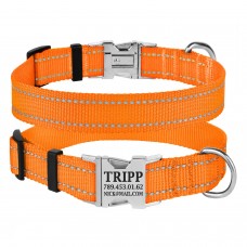 Нашийник для Собак BronzeDog Active Нейлоновий зі Світловідбиттям та Металевою Пряжкою Помаранчевий  XL(38/1304/Т) 