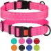 Нашийник для Собак BronzeDog Active Нейлоновий зі Світловідбиттям та Металевою Пряжкою Рожевий  XL(38/1306/Т) 