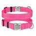 Нашийник для Собак BronzeDog Active Нейлоновий зі Світловідбиттям та Металевою Пряжкою Рожевий  XL(38/1306/Т) 
