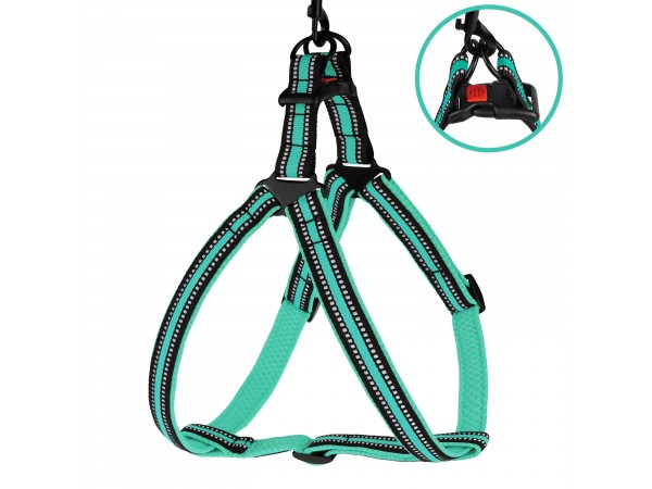 Шлея для Собак BronzeDog Mesh Стандарт Ментолова L(82208/Т) Шлея для Собак BronzeDog Mesh Стандарт Ментолова L(82208/Т)