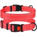 Нашийник для Собак BronzeDog Active Нейлоновий зі Світловідбиттям та Пластиковою Пряжкою Кораловий  L(52/1224/Т) 