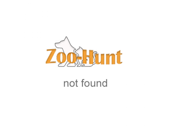 Повідець для собак Zoo-hunt плетений ПП 1,0 см 3 плетіння 100 см коричневий 